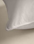 2pk Duck Feather & Down Firm Pillows