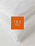 Warm & Toasty 13.5 Tog Duvet