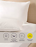 2pk Duck Feather & Down Soft Pillows