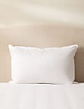 2pk Duck Feather & Down Soft Pillows