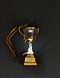 Harry Potter™ Light Up Triwizard Cup Bauble