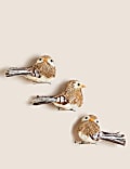 3pk Robin Decorations