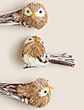 3pk Robin Decorations