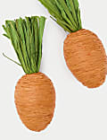 Set van 2 hangende papieren decoraties - wortels
