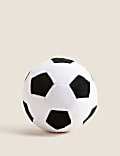Football Pet Toy