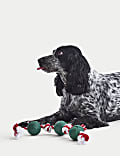 Sprouts Pet Toy