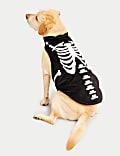 Halloween Glow In The Dark Jumper For Pets