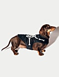 Halloween Glow In The Dark Jumper For Pets