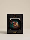 Glass Moth Bauble