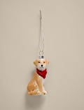 Glass Hanging Labrador Decoration