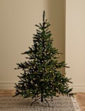 6ft Pre-Lit Noble Christmas Tree