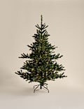 6ft Pre-Lit Noble Christmas Tree