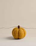 Autumnal Felt Pumpkin Garland