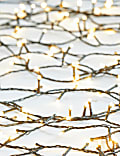 1000 Warm White Mains Lights
