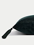 Velvet Tasselled Cushion