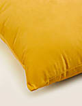 Velvet Cushion