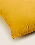 Velvet Cushion