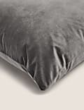 Velvet Cushion