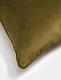 Velvet Piped Cushion