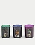 Set of 3 Dutch Florals Candle Gift Set