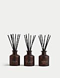 Set of 3 Mini Diffuser Set