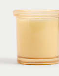 Wild Meadow Scented Candle