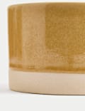 Wild Meadow 3 Wick Candle