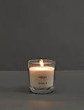 Seashells Scented Candle