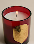 Christmas Joy Fragrance Candle