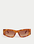 Angular Cat Eye Sunglasses