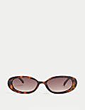 Oval Sunglasses