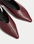 Flat Pointed Slingback Shoes