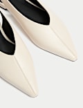 Flat Pointed Slingback Shoes