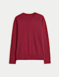 Pure Cashmere Crew Neck Jumper