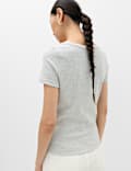 Ribbed Lace Scoop Neck Short Sleeve Top