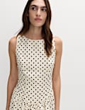Polka Dot Round Neck Midaxi Waisted Dress