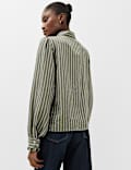 Striped Collared Shirt