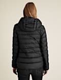 Feather & Down Hooded Short Puffer Jacket