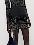 Scattered Embellished Mini Skater Skirt