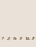 6 pk Stud Earring Set