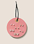 6 pk Stud Earring Set