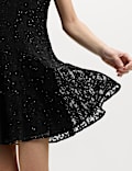Lace Sequin Mini Skater Dress
