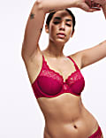 Amelia Lace Wired Full Cup Bra (A-E)