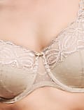 Amelia Lace Wired Full Cup Bra (F+)