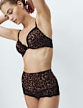 3pk Leopard Print Lace Trim Full Briefs