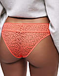 3pk Animal Lace Brazilian Knickers