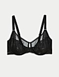 Valencia Lace Wired Full Cup Bra (F-H)