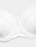 Savannah Wired Minimiser Bra (C-G)