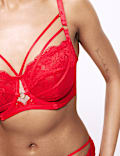 Vera Lace Wired Longline Balcony Bra (F-H)