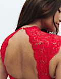 Vera Lace & Mesh Cap Sleeve Body